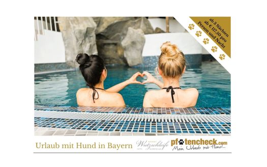 Hotel Wutzschleife Angebot: Ab 3 Nächten ab € 117,50 pro Person und Nacht. Urlaub mit Hund in Bayern