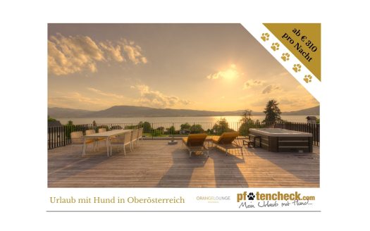 Orange Lounge Angebot Goldener Herbst. Herbstspecial: Hunde übernachten ab 2 Nächten gratis! Ab € 310 pro Nacht.